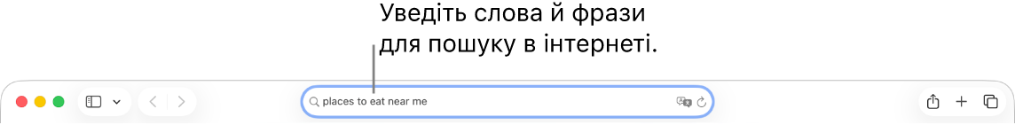 Поле динамічного пошуку в Safari, де можна вводити слова та фрази для пошуку в інтернеті.