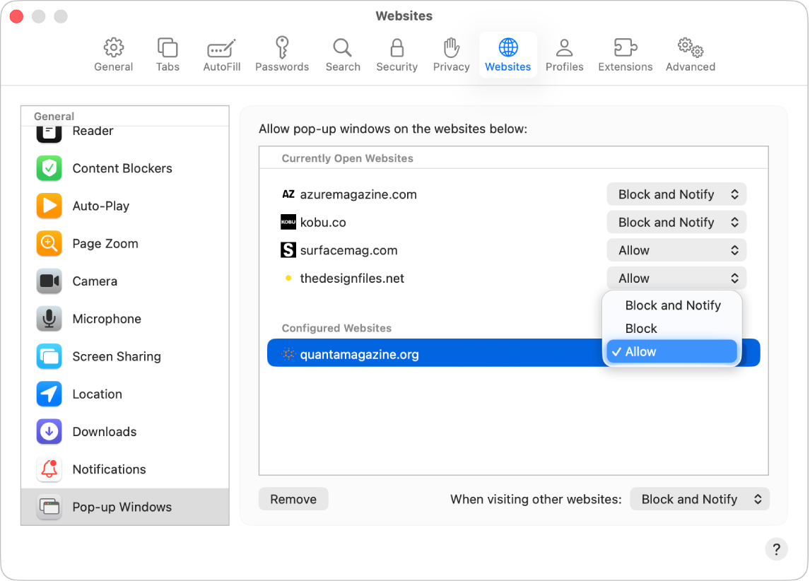 Safari 設定的「彈出式視窗」選項,顯示已為設定的網站選取「允許」。