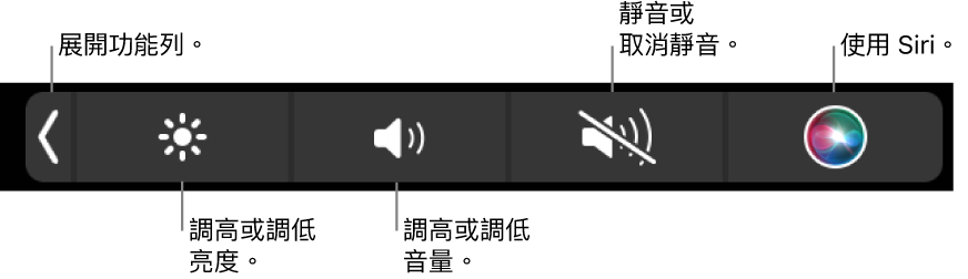收合的功能列包含以下操作的按鈕:由左至右依序是展開功能列、增加或減少顯示器亮度和音量、靜音或取消靜音以及使用 Siri。