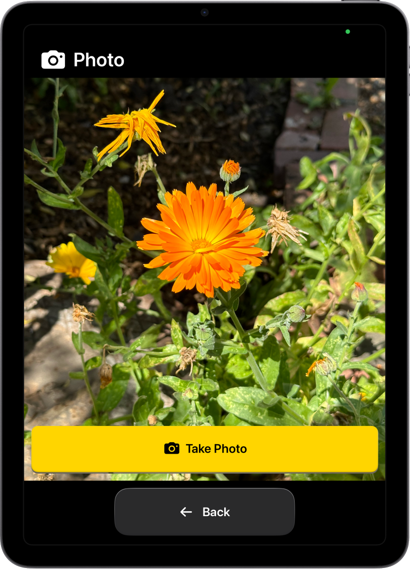 Un iPad dans Accès d’aide présentant l’app Appareil photo ouverte avec un gros bouton permettant de prendre des photos et un autre gros bouton pour revenir à l’écran précédent.