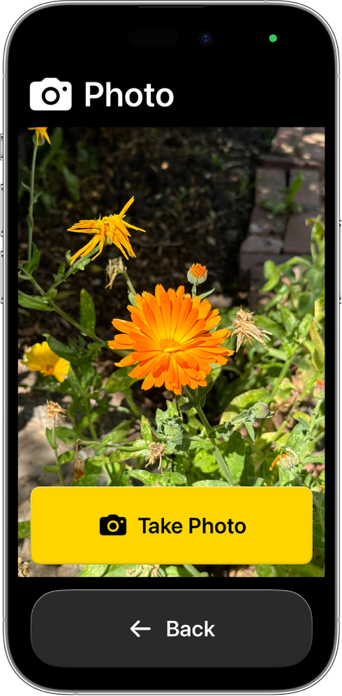 iPhone в Достъп с помощ, който показва отворено приложението Камера и големи бутони за правене на снимка и връщане назад към предходен екран.