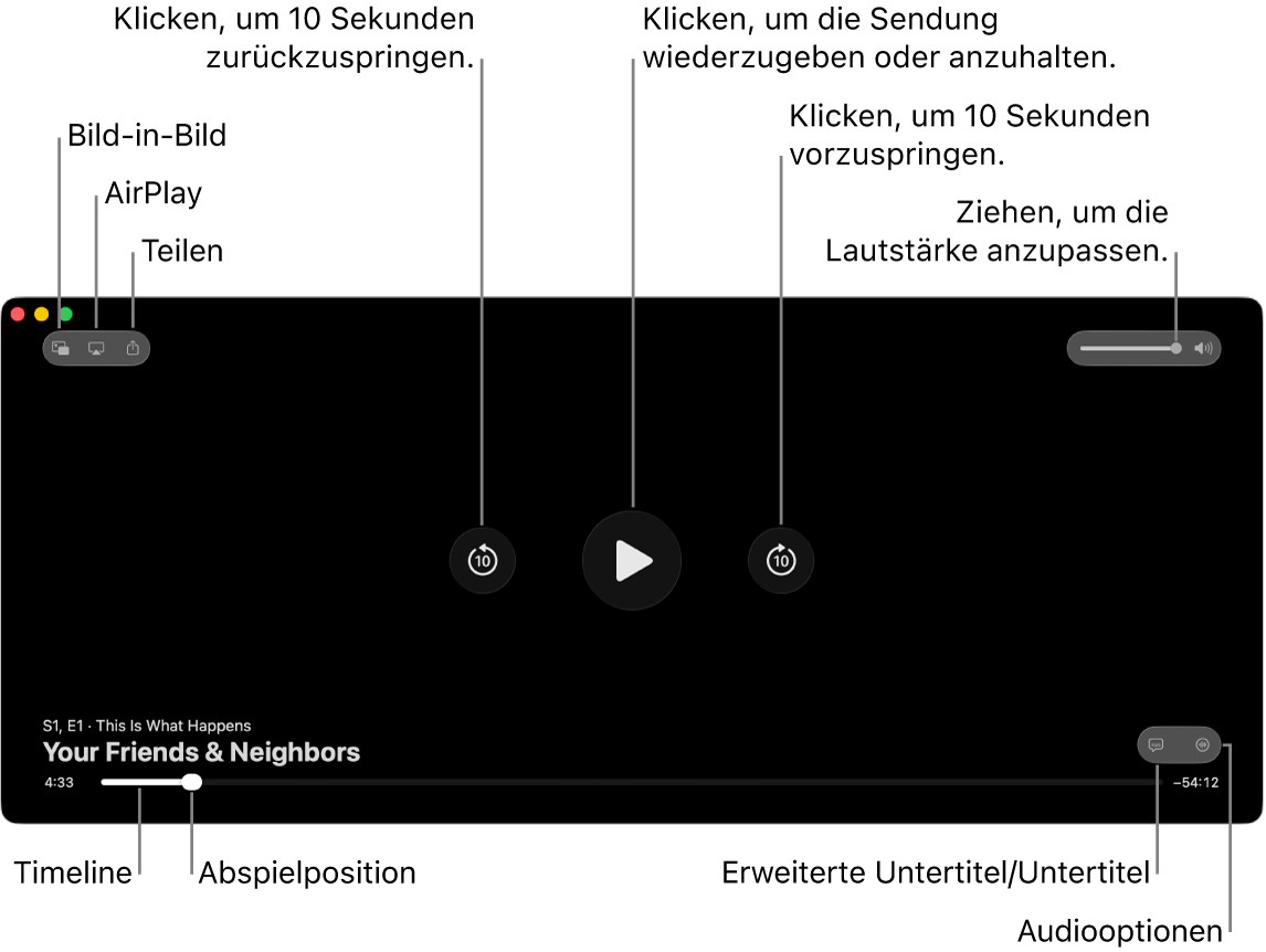 Die Wiedergabesteuerungen im Viewer, einschließlich der Tasten zum Abspielen oder Anhalten, zum Vor- und Zurückspringen und zum Einstellen der Lautstärke.