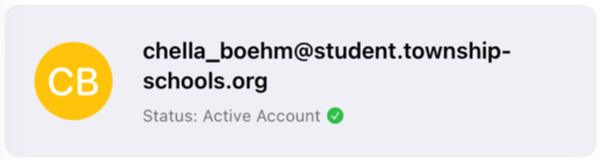 Beispielansicht der Account-Informationen und des Account-Status eines:einer Schüler:in status (aktiver Account).