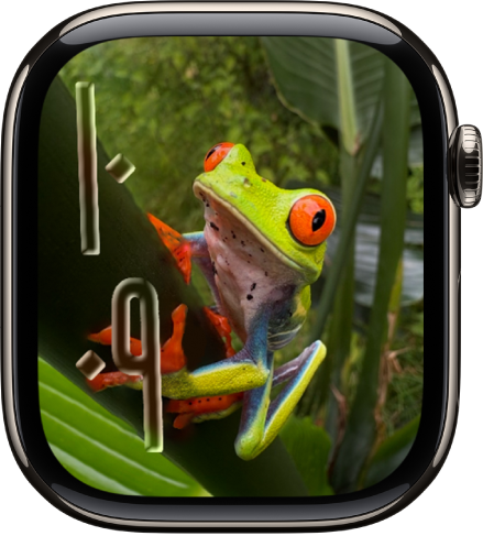 واجهة الساعة "الصور".