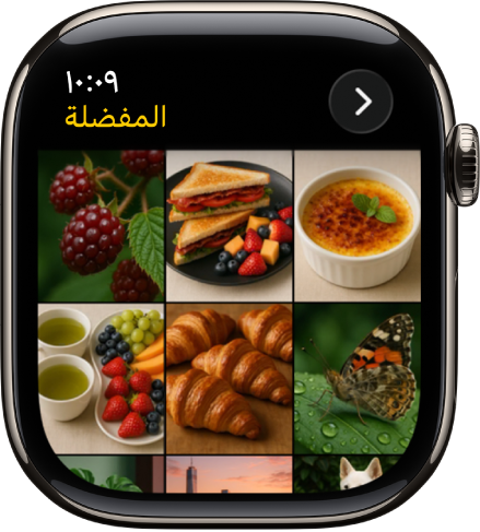 تطبيق الصور على Apple Watch يعرض ألبومًا يسمى المفضلة، مع عدة صور ظاهرة في شبكة.