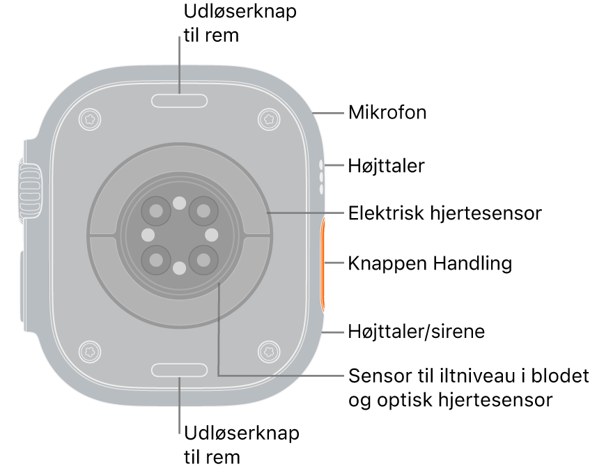 Bagsiden af Apple Watch Ultra 3 med udløserknapperne til remmen foroven og forneden. På siden er der en mikrofon, en højttaler, den elektriske hjertesensor, handlingsknappen, en højttalerport, som sirenen udsender lyd fra, sensorerne til iltniveau i blodet og de optiske pulsmålere.