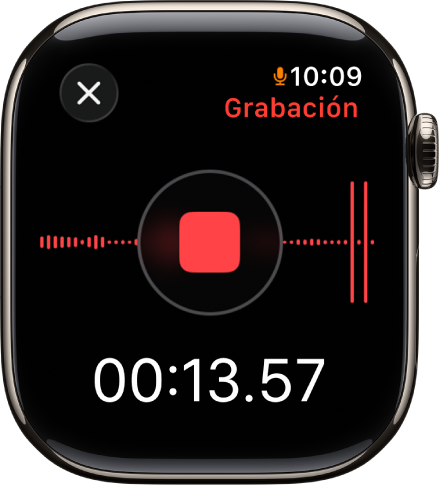 Pantalla de la app Notas de Voz mientras se graba una nota. El botón rojo Detener está en medio. Debajo está el tiempo transcurrido de la grabación. La palabra Grabando aparece en la esquina superior derecha.