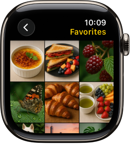 L’app Photos sur l’Apple Watch qui affiche un album intitulé Favoris, avec plusieurs photos présentées dans une grille.