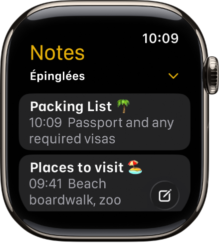 Écran Notes affichant deux notes épinglées.