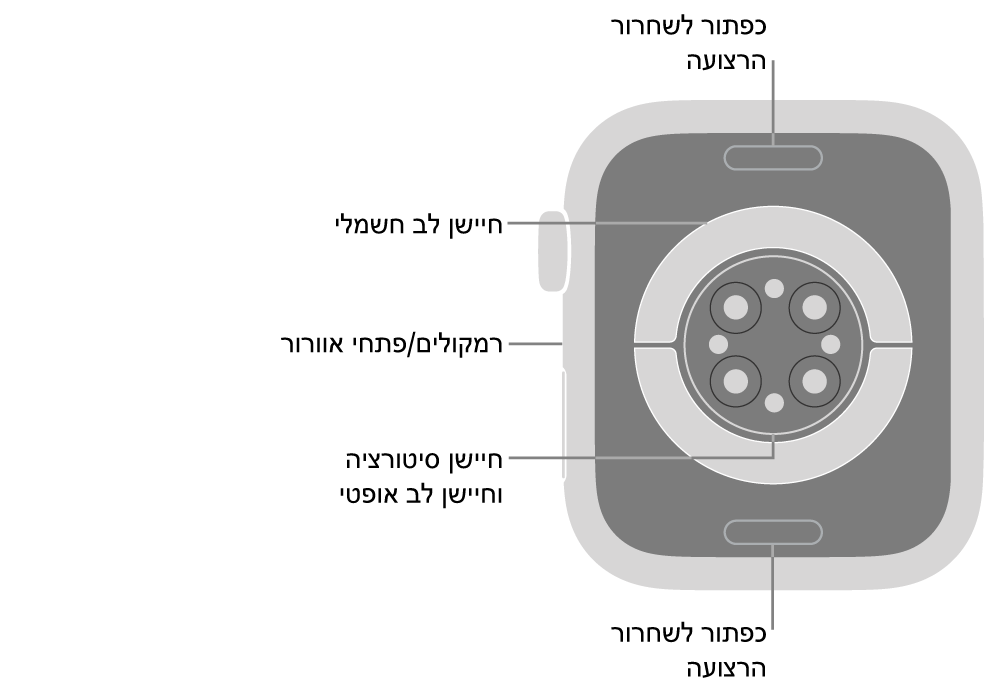 החלק האחורי של Apple Watch Series 9 עם כפתורי שחרור הרצועה למעלה ולמטה, חיישני הדופק האלקטרוניים, חיישני הדופק האופטיים וחיישני רמת החמצן בדם בחלק המרכזי והרמקול/פתחי האוורור בצד.