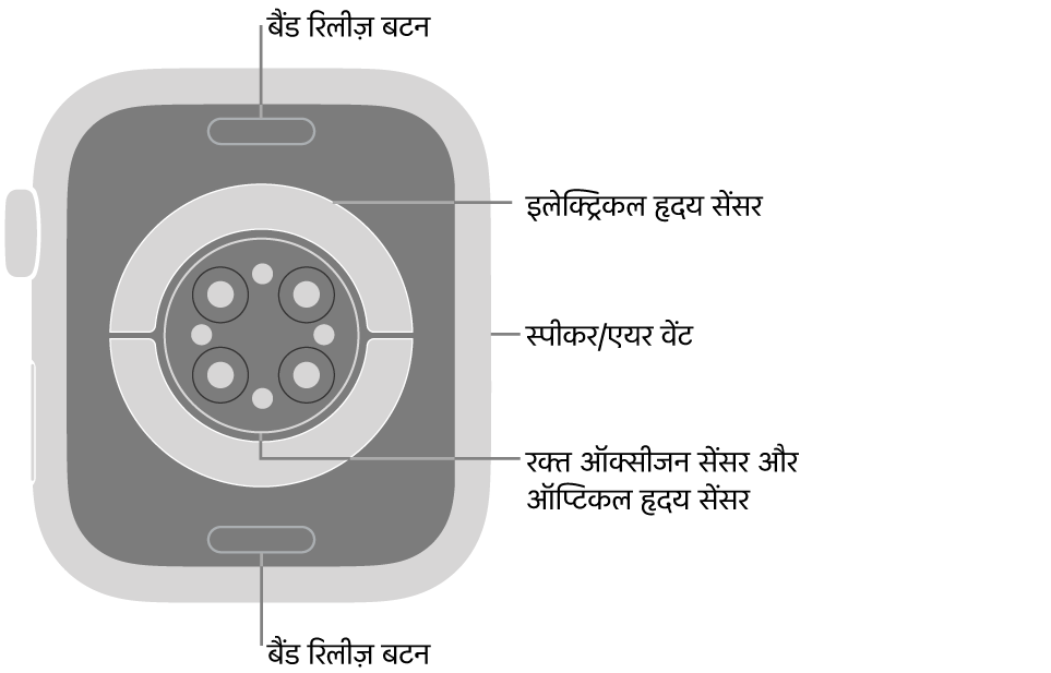 Apple Watch Series 9 का पीछे का हिस्सा, जिसमें शीर्ष पर और नीचे की ओर “बैंड रिलीज़ करें” बटन, बीच में इलेक्ट्रिकल हृदय सेंसर, ऑप्टिकल हृदय सेंसर और रक्त ऑक्सीजन सेंसर और साइड में स्पीकर/ एयर वेंट हैं।