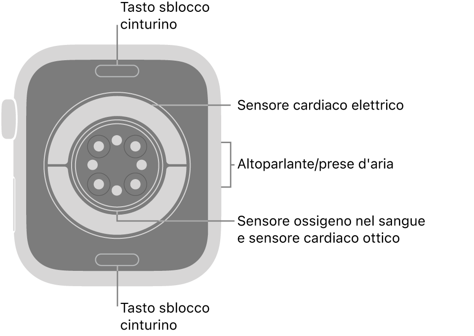Apple Watch Series 11, visto da dietro, con i pulsanti di sblocco del cinturino in alto e in basso, i sensori elettrici per il cuore, i sensori ottici per il cuore e i sensori per il livello di ossigeno nel sangue al centro, e l’altoparlante e i condotti di ventilazione sul lato.