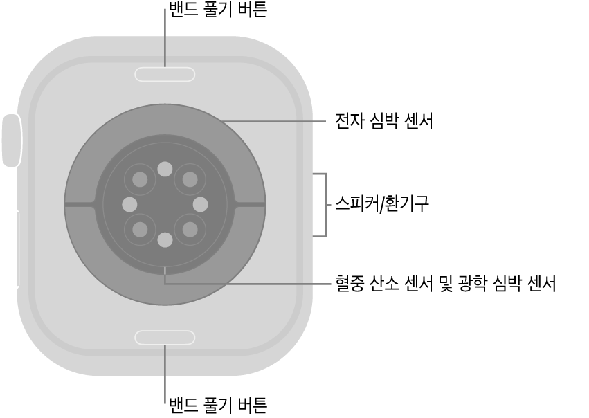 상단 및 하단에 밴드 풀기 버튼, 중앙에 전자 심장 센서, 광학 심장 센서 및 혈중 산소 센서, 측면에 스피커/환기구가 보이는 Apple Watch Series 10의 후면.