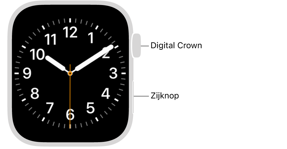 De voorkant van de Apple Watch, met de Digital Crown bovenaan en de zijknop onderaan aan de rechterkant van de Watch.