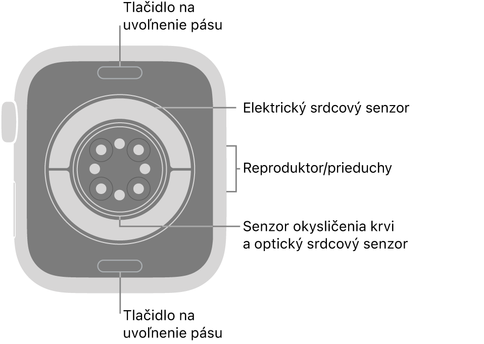 Zadná strana hodiniek Apple Watch Series 11. Navrchu a naspodku sa nachádzajú tlačidlá na uvoľnenie remienka. V strede sú umiestnené elektrické srdcové senzory, optické srdcové senzory a senzory saturácie kyslíkom a naboku reproduktor/prieduchy.