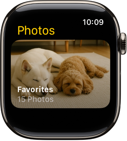 Aplikacija Fotografije v uri Apple Watch prikazuje album, imenovan Priljubljene.