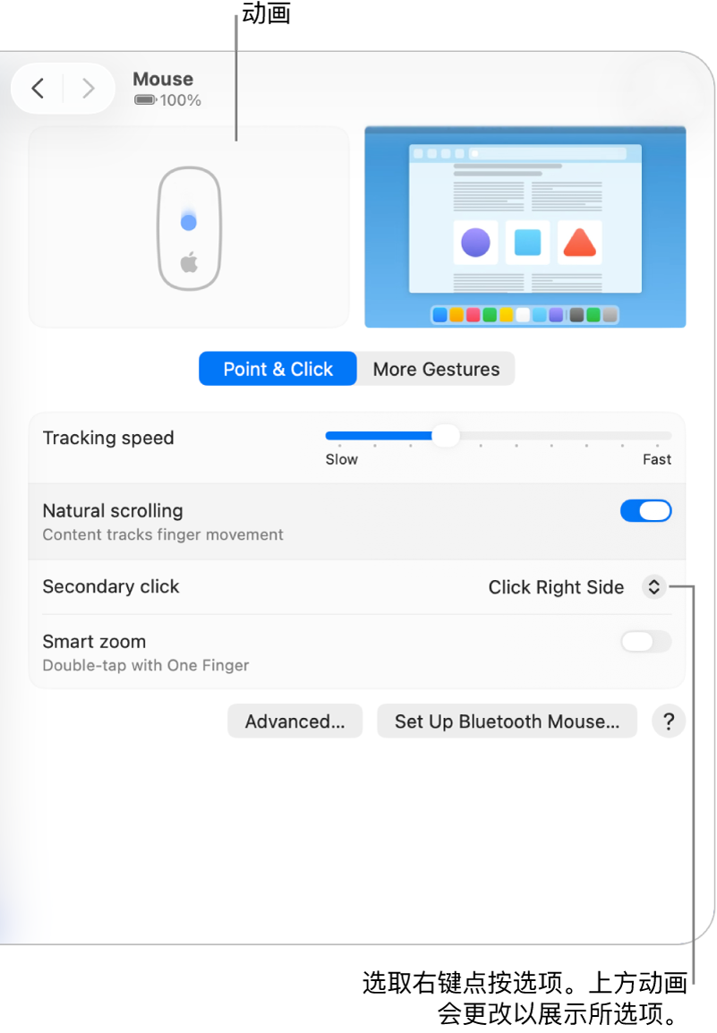 “系统设置”中的“鼠标”选项,显示设为“点按右侧”的辅助点按选项及对应动画。