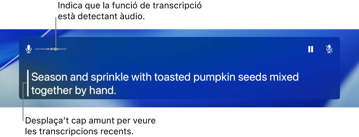 A la finestra de transcripcions es mostra una transcripció en temps real de l’àudio del micròfon de l’ordinador, per la qual es pot desplaçar.