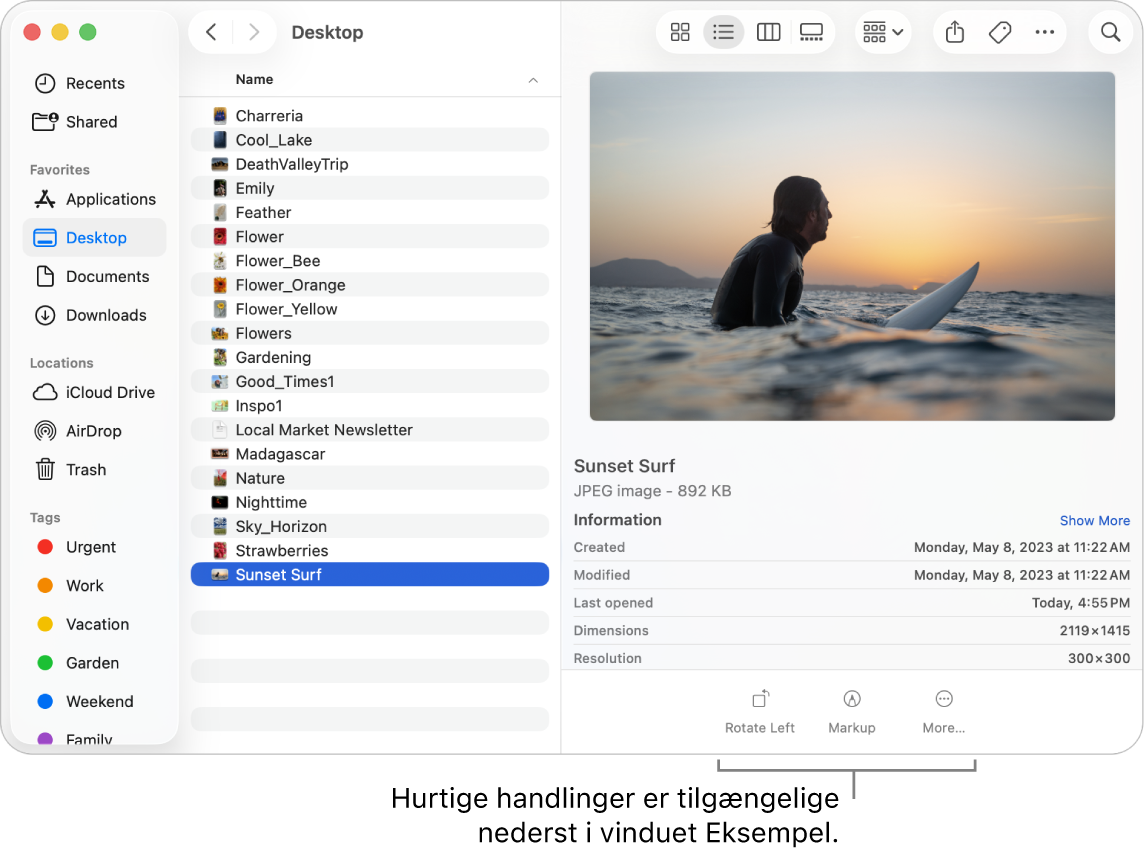 Bunden af eksempelvinduet med knapperne til hurtige kommandoer.