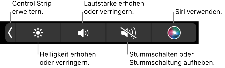 Der reduzierte Control Strip mit Tasten (von links nach rechts) zum Erweitern des Control Strip, Erhöhen oder Reduzieren von Bildschirmhelligkeit und Lautstärke, Aktivieren oder Deaktivieren der Stummschaltung und Verwenden von Siri.