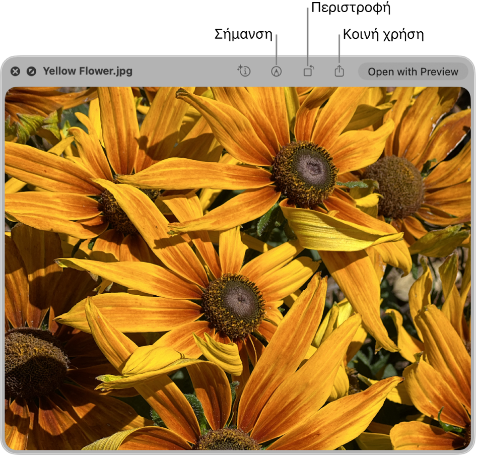 Μια εικόνα στο παράθυρο Άμεσης προβολής, με κουμπιά για σήμανση, περιστροφή ή κοινή χρήση της εικόνας, ή άνοιγμά της στην εφαρμογή «Προεπισκόπηση».