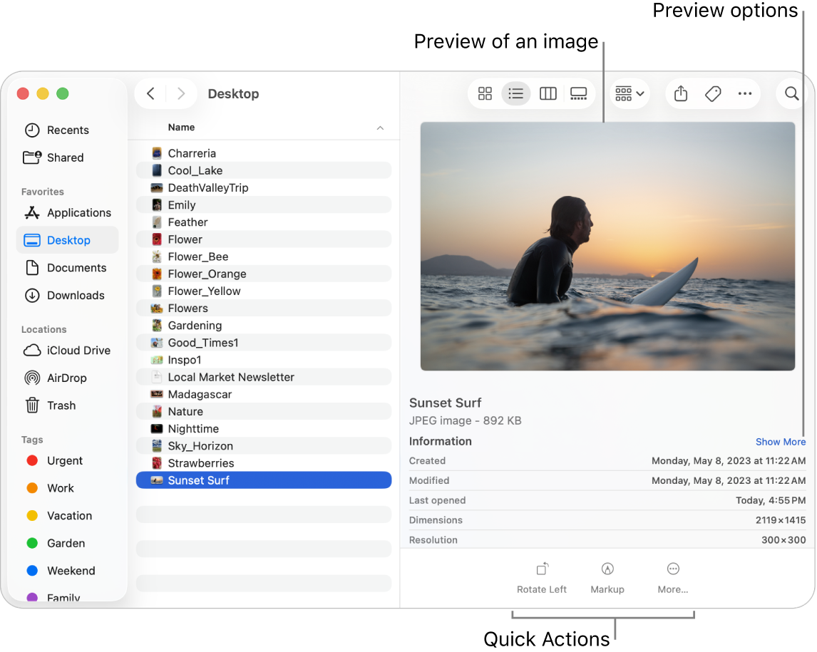 A Finder window showing the Finder sidebar on the left and an image file selected in the middle of the window. On the right, the Preview pane shows what the image looks like, with the image details below that and the Quick Actions buttons at the bottom.