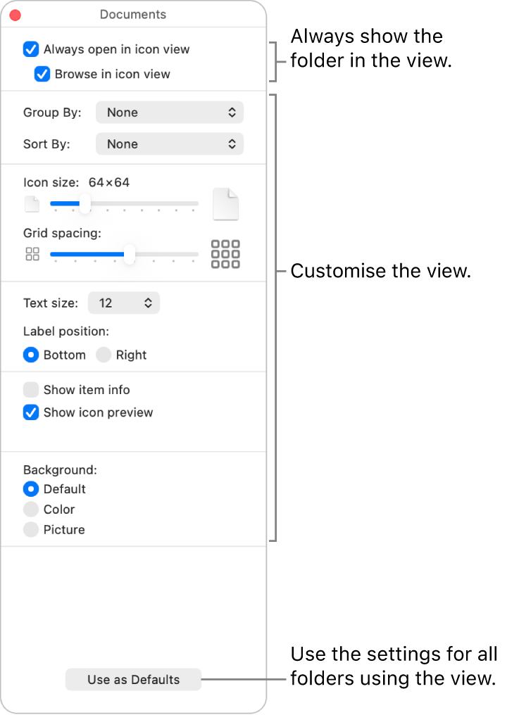 Icon view options for a folder.