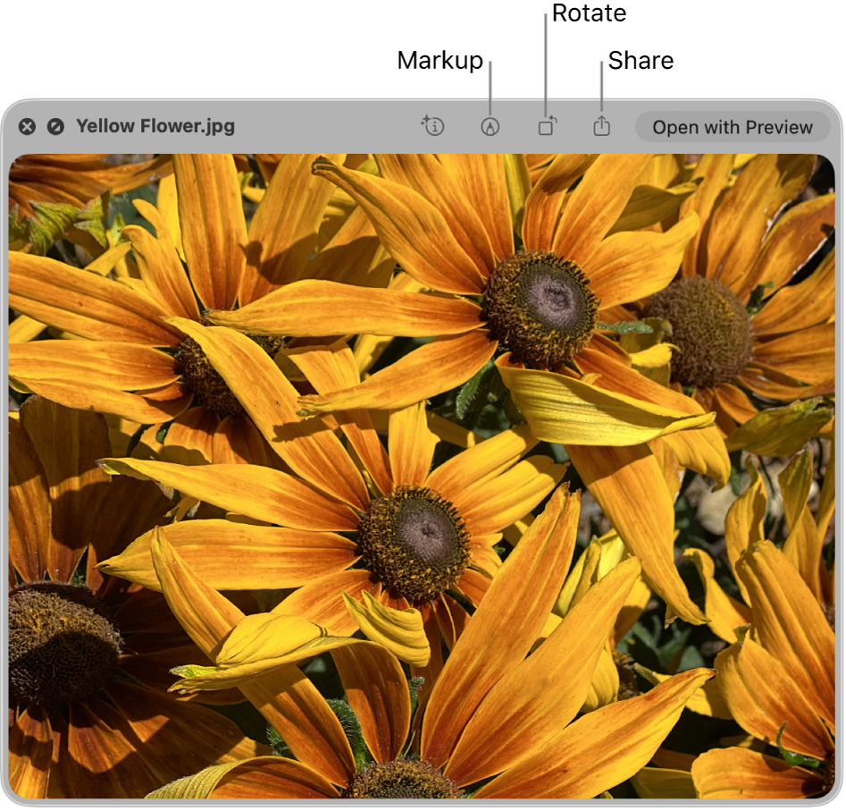 An image in the Quick Look window with buttons to mark up, rotate or share the image, or open it in the Preview app.