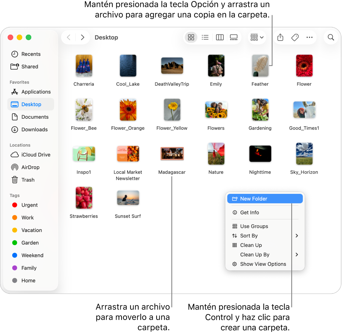 Una ventana del Finder con archivos y carpetas. En el menú de funciones rápidas, Nueva carpeta está resaltado.