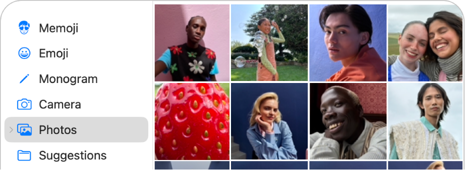 Las opciones de foto de la cuenta de Apple con la opción Fotos seleccionada en la barra lateral y varias fotos mostradas.