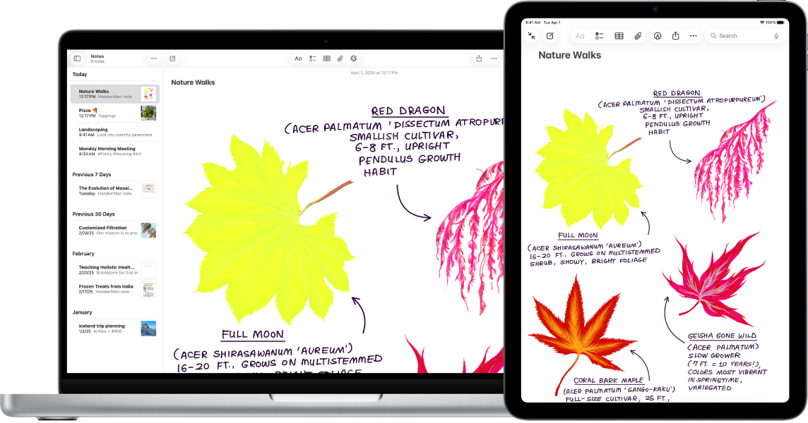Un iPad con un dibujo, junto al Mac en el que aparece el dibujo en una nota.