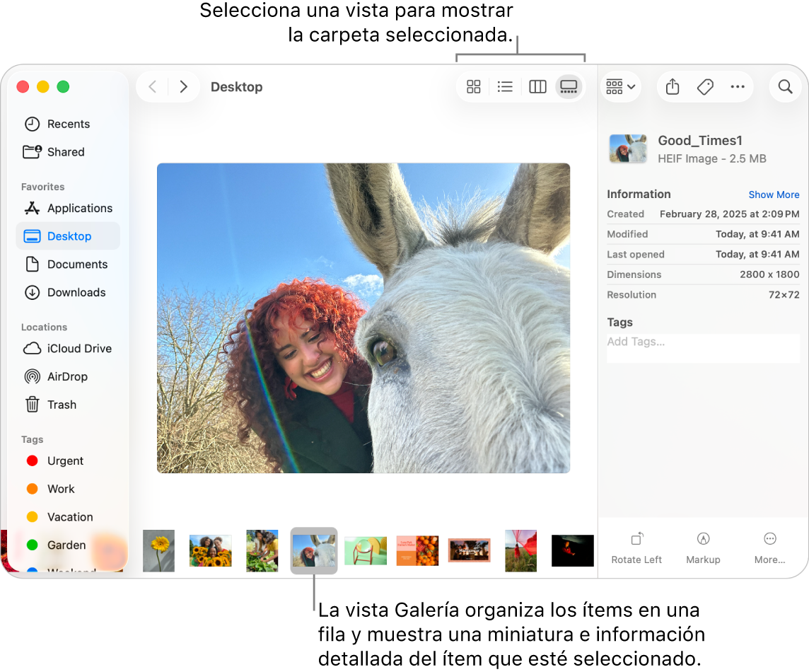 Una ventana del Finder que muestra la barra lateral del Finder a la izquierda y un archivo de imagen seleccionada en la sección inferior de la ventana. En la parte central, el panel de previsualización muestra el aspecto de la imagen, con la información detallada de ella y los botones de “Acciones rápidas” a la derecha.