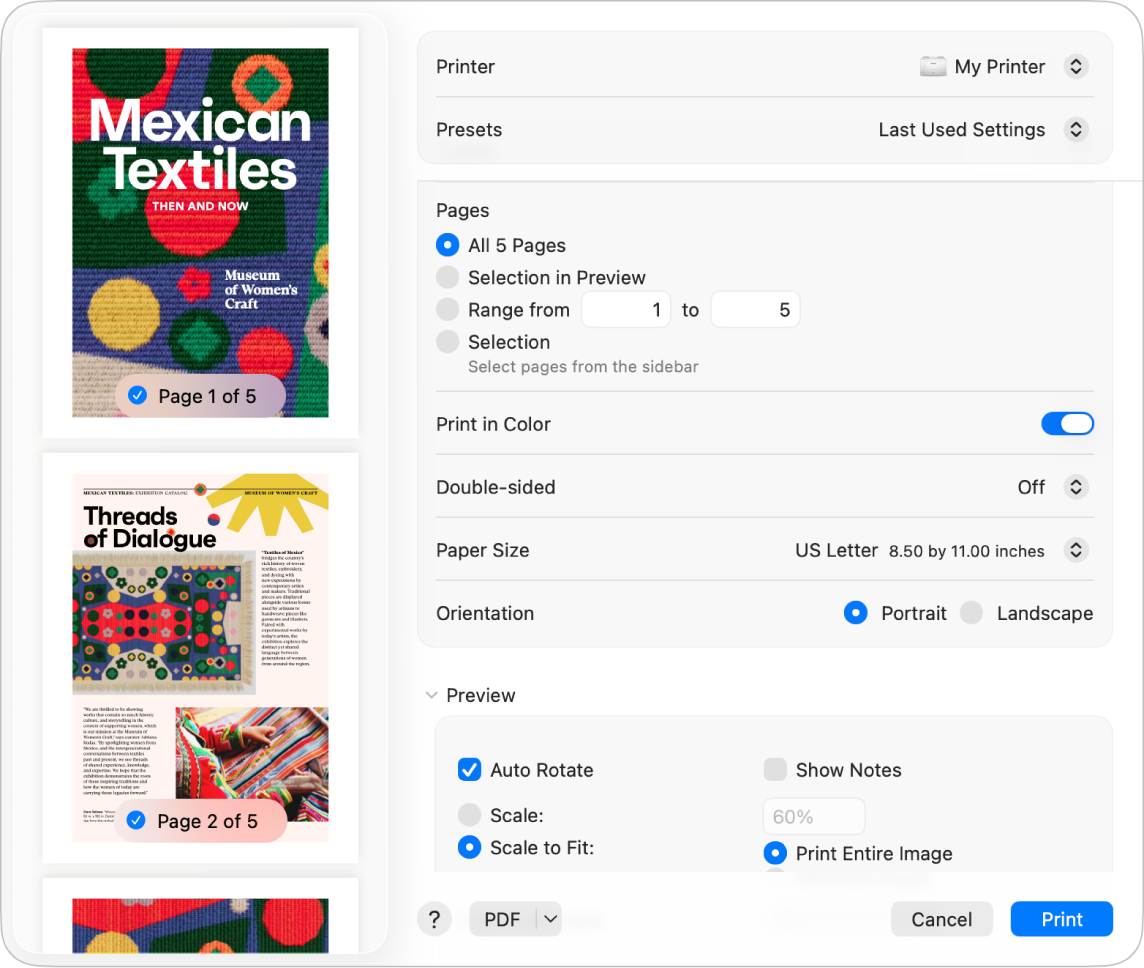 El cuadro de diálogo Imprimir, con opciones de impresión y una previsualización de tu impresión.