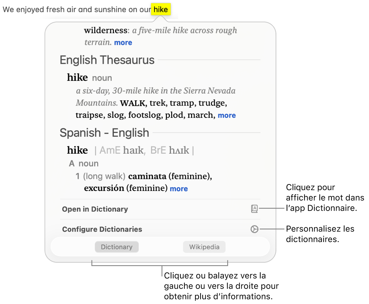 La fenêtre Rechercher affiche le dictionnaire et les définitions du thésaurus pour un mot.