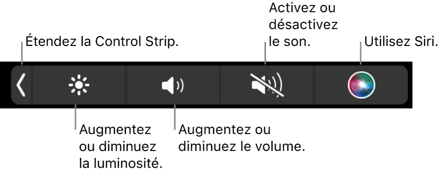 La Control Strip condensée comprend des boutons de gauche à droite, pour développer la Control Strip, augmenter ou baisser la luminosité de l’écran ou le volume, couper ou rétablir le son et utiliser Siri.