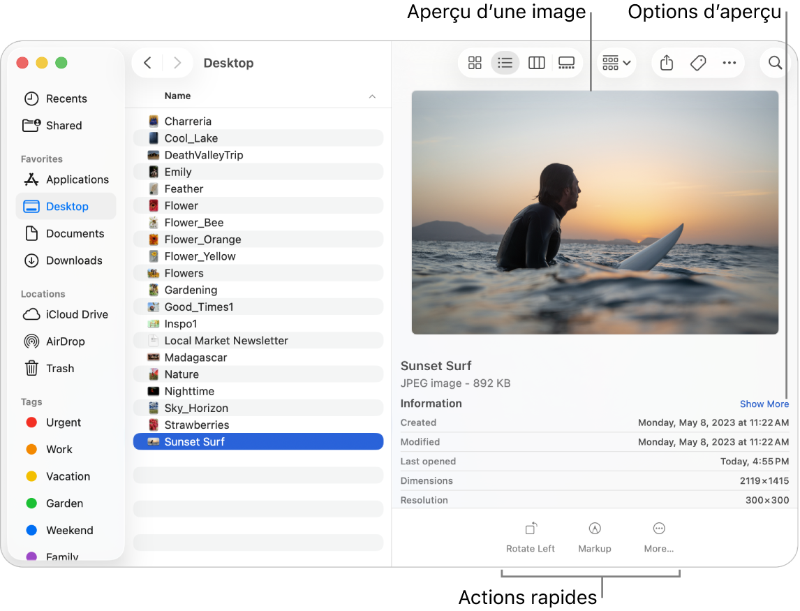 Une fenêtre du Finder affichant la barre latérale du Finder sur la gauche et un fichier image sélectionné dans le volet du milieu de la fenêtre. Sur la droite, la sous-fenêtre Aperçu affiche une image du contenu, accompagnée des détails de l’image en dessous et des boutons d’actions rapides en bas.