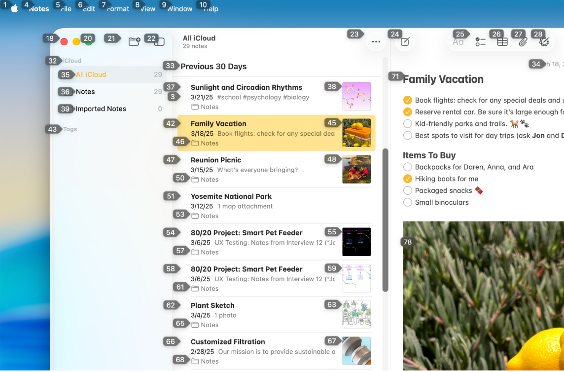 Mac 데스크탑 왼쪽 상단 모서리에 메뉴 막대의 각 항목 옆에 있는 번호가 표시됨. 메뉴 막대 아래에는 메모 앱이 열려 있고 앱에 있는 버튼 및 콘텐츠 옆에 번호가 표시됨.