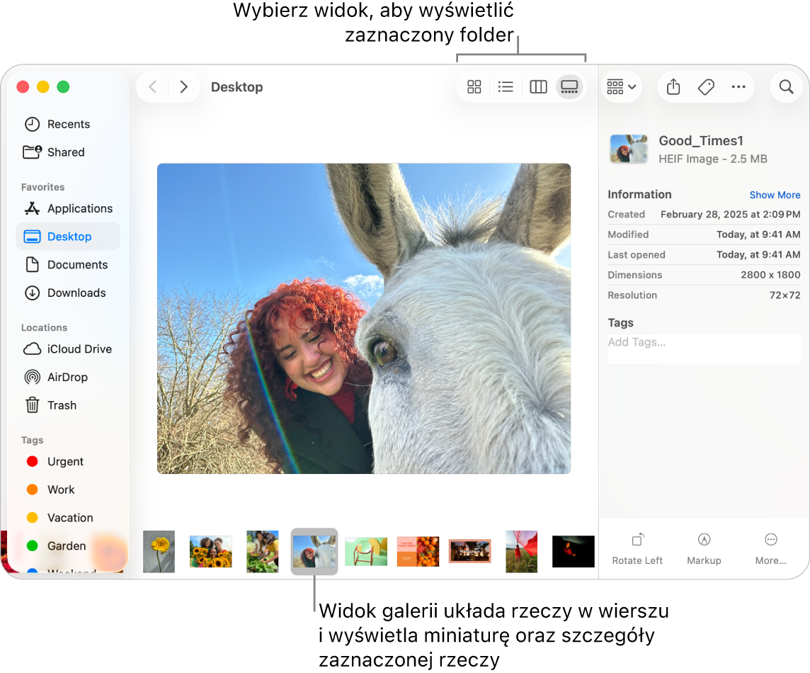 Okno Findera zawierające pasek boczny po lewej oraz plik obrazka zaznaczony na dole. Na środku znajduje się panel podglądu, w którym widoczny jest podgląd obrazka, a po prawej znajdują się szczegółowe informacje oraz przyciski szybkich czynności.