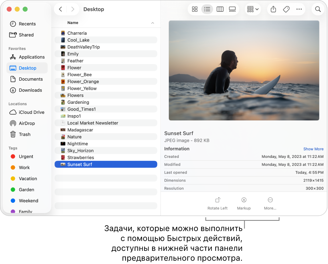 Нижняя часть панели предварительного просмотра с кнопками быстрых действий.