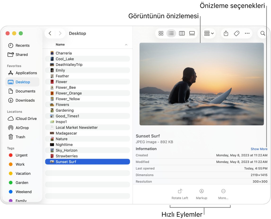 Solda Finder kenar çubuğunu ve pencerenin ortasında seçili bir görüntü dosyasını gösteren Finder penceresi. Sağ taraftaki Önizleme bölümü görüntünün neye benzediğini, bunun altında görüntü ayrıntılarını ve en altta da Hızlı Eylemler düğmelerini gösteriyor.