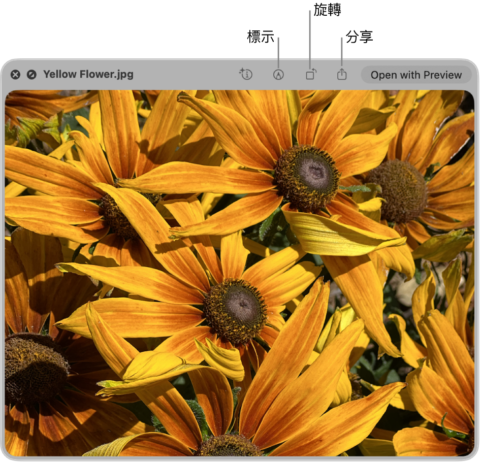 影像在「快速查看」視窗中,並有按鈕可標記、旋轉或分享影像,或在「預覽程式」App 中開啟影像。