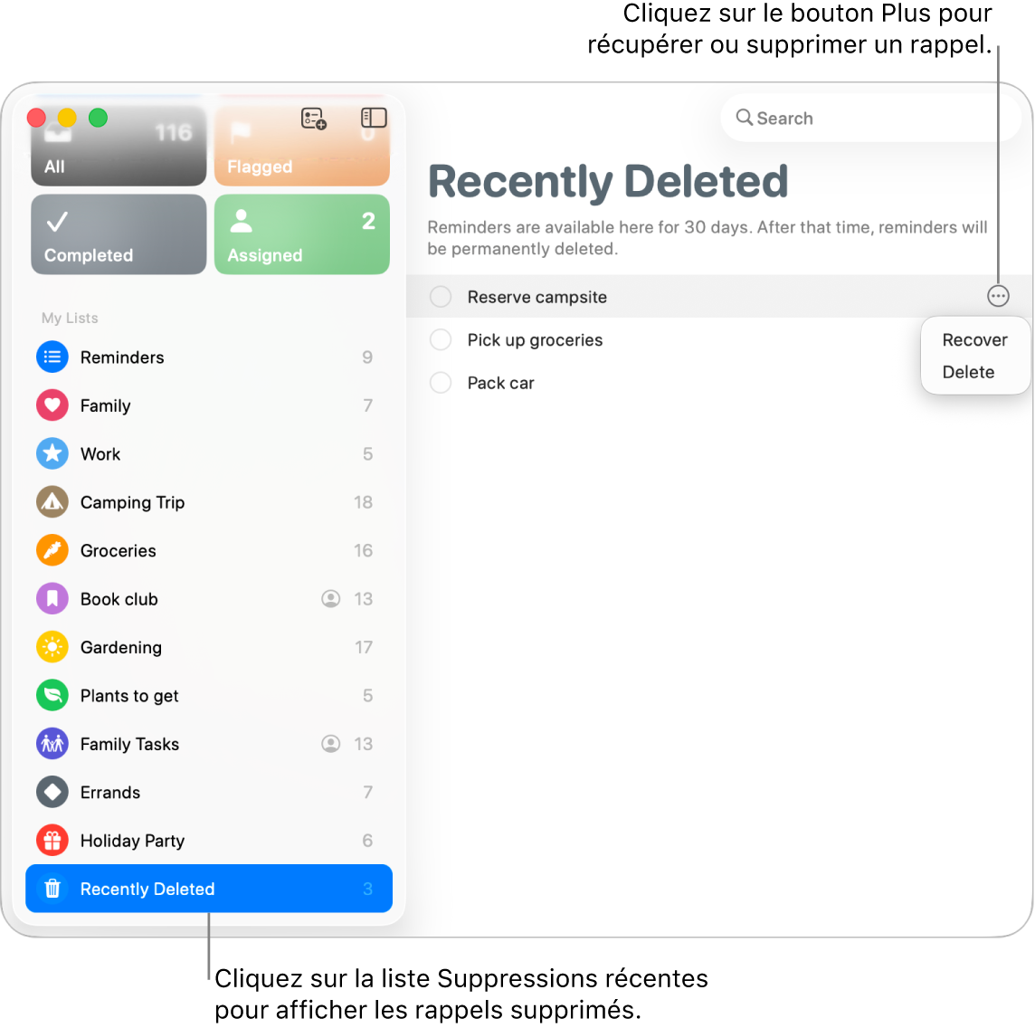 Fenêtre Rappels qui affiche la liste Suppressions récentes sélectionnée dans la barre latérale, et le bouton Plus d’un rappel qui montre les options Récupérer et Supprimer.