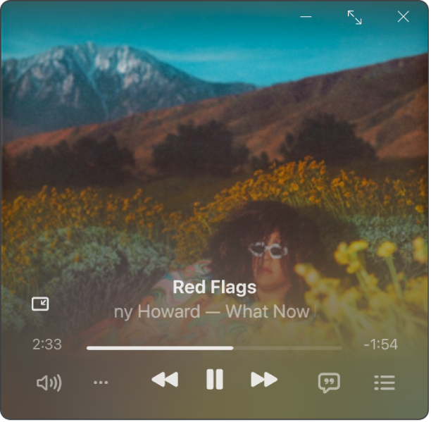 The Mini Player showing the album artwork.