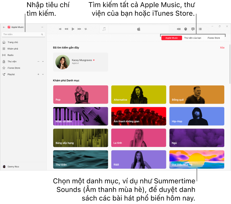 Cửa sổ Apple Music đang hiển thị trường tìm kiếm ở góc trên cùng bên trái, danh sách các danh mục ở giữa cửa sổ và các nút Apple Music, Thư viện của bạn và iTunes Store ở góc trên cùng bên phải.