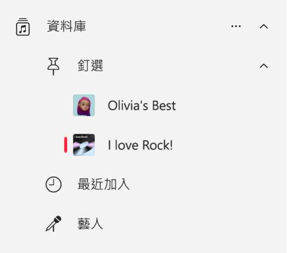 「音樂」側邊欄顯示已在資料庫中釘選的項目列表。