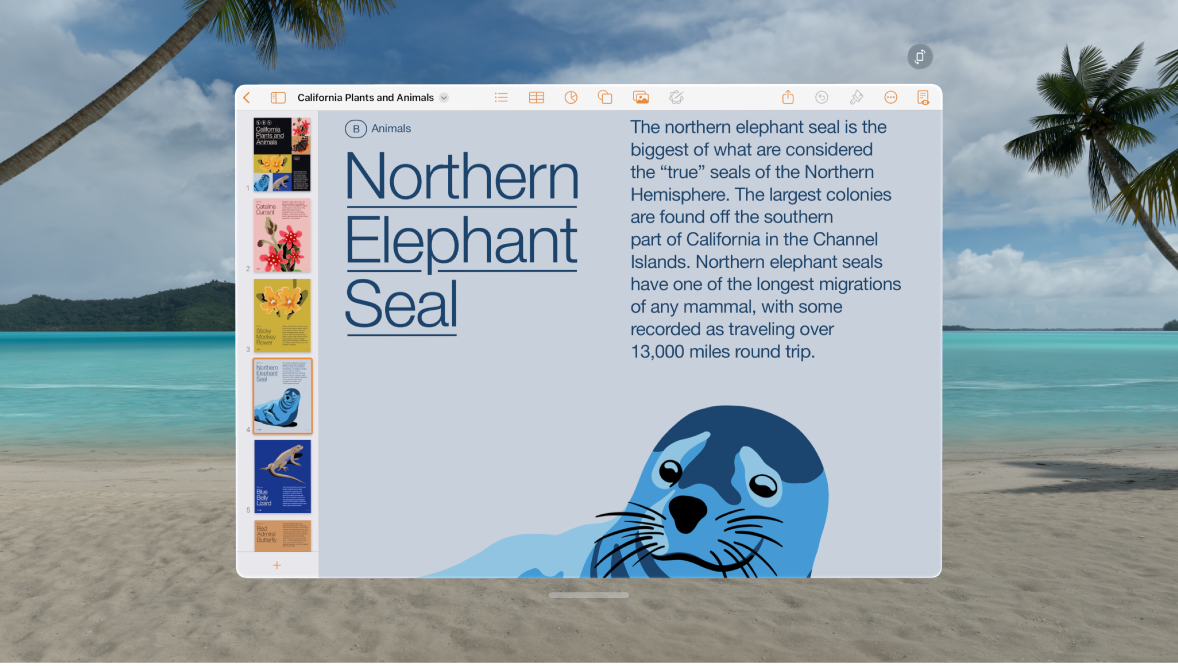 The Pages app on Apple Vision Pro, showing an open document and formatting controls at the top.