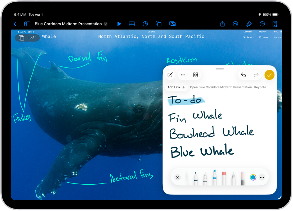 ક્વિક નોટ Keynote ડૉક્યુમૅન્ટની નીચે જમણી બાજુએ ખુલ્લી છે.