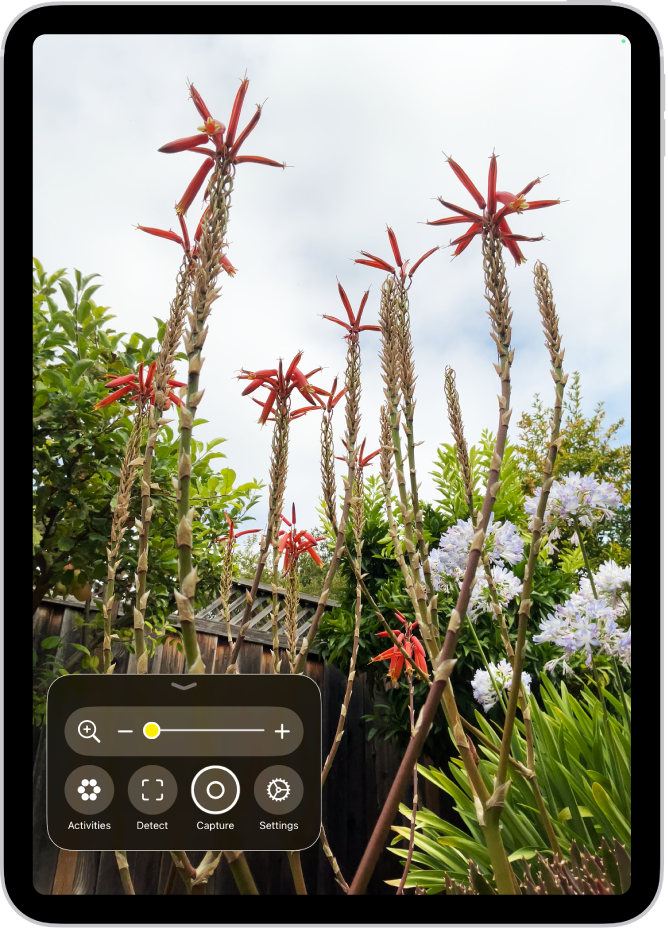 ಹೂವುಗಳ ಕ್ಲೋಸ್-ಅಪ್ ಅನ್ನು ತೋರಿಸುವ ಮ್ಯಾಗ್ನಿಫೈಯರ್ ಆ್ಯಪ್.