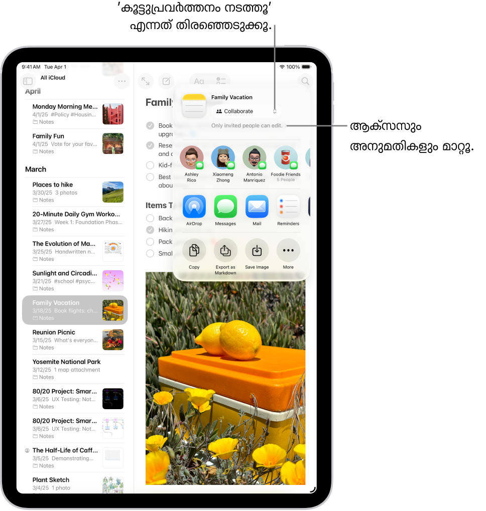 ‘കുറിപ്പുകളി’ലെ ഒരു ചെക്ക്ലിസ്റ്റിൽ കൂട്ടുപ്രവർത്തനം നടത്താനുള്ള ഒരു ക്ഷണം, പങ്കിടൽ ഓപ്ഷനായി ‘കൂട്ടുപ്രവർത്തനം നടത്തൂ’ എന്നും ‘നിങ്ങൾ ക്ഷണിക്കുന്ന ആളുകൾക്ക് മാത്രമേ എഡിറ്റ് ചെയ്യാൻ കഴിയൂ’ എന്നത് ആക്സസ്, അനുമതി ക്രമീകരണമായും കാണിക്കും. ഒരു ഗ്രൂപ്പ് ഉൾപ്പെടെ, സാധ്യതയുള്ള നാല് സ്വീകർത്താക്കൾ അതിന് താഴെയായി ഒരു റോ രൂപപ്പെടുത്തുന്നു. കുറിപ്പ് പങ്കിടാൻ അടുത്ത റോ വ്യത്യസ്ത വഴികൾ വാഗ്ദാനം ചെയ്യുന്നു: AirDrop, സന്ദേശങ്ങൾ, മെയിൽ, ഓർമപ്പെടുത്തൽ. കുറിപ്പ് കോപ്പി ചെയ്യാനും എക്സ്പോർട്ട് ചെയ്യാനും സേവ് ചെയ്യാനുമുള്ള ബട്ടണുകൾ അവസാന റോയിൽ അടങ്ങിയിരിക്കുന്നു.