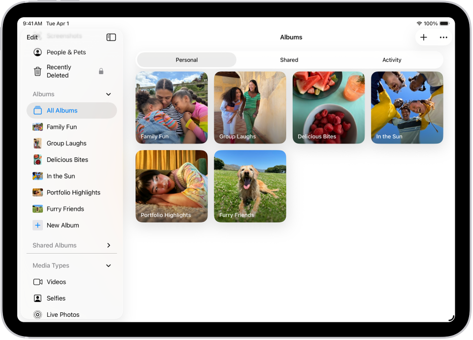 ఆల్బమ్లలో తెరవబడి ఉన్న ఫోటోస్ యాప్. వ్యక్తిగతం ఎంచుకోబడింది. మిగిలిన iPad స్క్రీన్ గ్రిడ్లోని ఆల్బమ్ల థంబ్నెయిల్స్ చూపుతుంది.